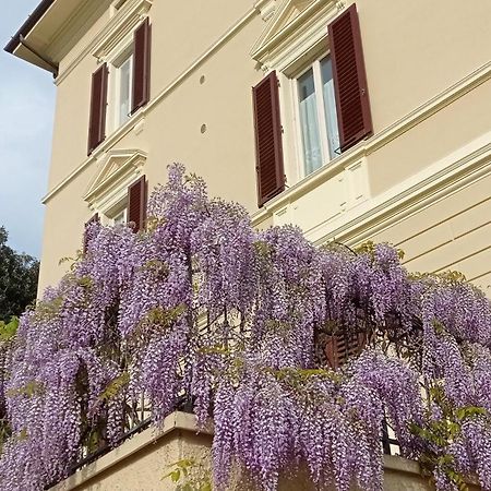 Il Pettirosso Διαμέρισμα Monsummano Terme Εξωτερικό φωτογραφία