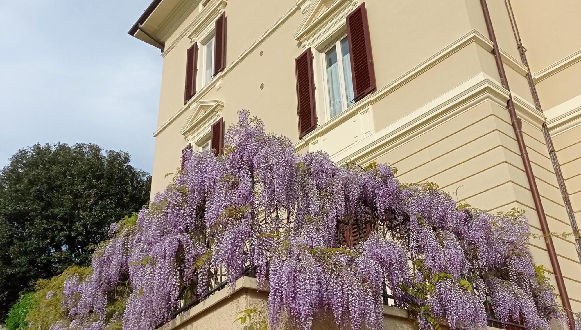 Il Pettirosso Διαμέρισμα Monsummano Terme Εξωτερικό φωτογραφία